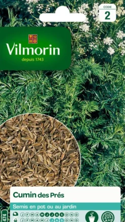 Best VILMORIN Cumin des Près - graines à semer