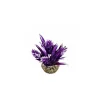 Discount LABEO Décor hop violet en plastique 9 cm