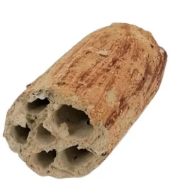 Hot TYROL Décor pour aquarium céramique naturelle coloris beige tunnel - 6 à 8 cm