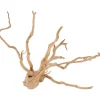 ZOLUX Décoration naturelle pour aquarium et terrarium coloris marron racine araignée – 10 à 30 cm