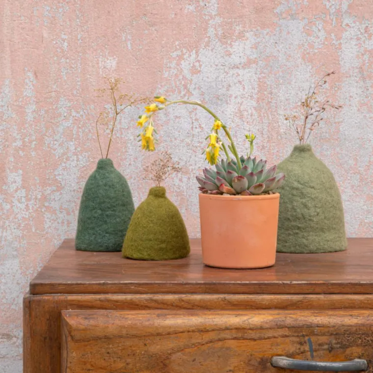 Discount BOTANIC® Echeveria mix pot terre cuite Ø10xH15 cm