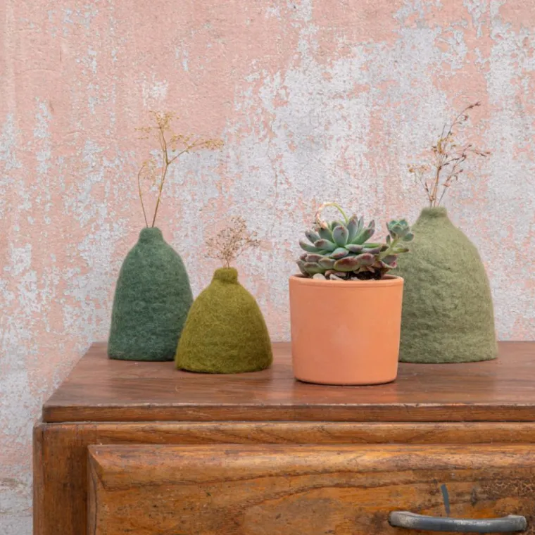 Discount BOTANIC® Echeveria mix pot terre cuite Ø10xH15 cm