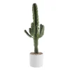 Best BOTANIC® Euphorbia Érythrea en pot blanc émaillé H 30 x Ø 20 cm