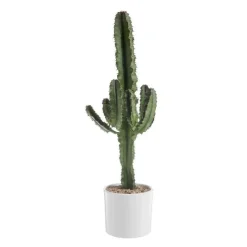 Best BOTANIC® Euphorbia Érythrea en pot blanc émaillé H 30 x Ø 20 cm