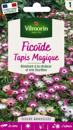 Sale VILMORIN Ficoïde Tapis Magique - graines à semer
