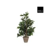 Online Ficus Exotica vert plante artificielle en pot gris H 65 x Ø 40 cm