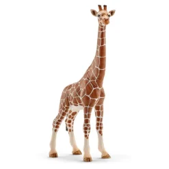 Clearance SCHLEICH Figurine Girafe femelle Série Animaux sauvages 9x4,2x17,2 cm