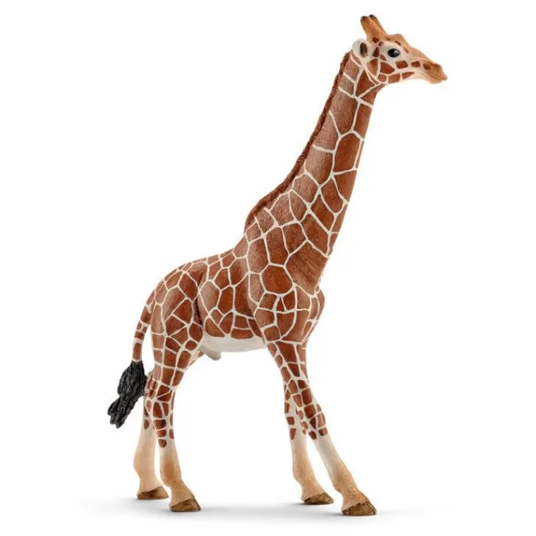 New SCHLEICH Figurine girafe mâle Série Animaux sauvages 12,7x4,4x17 cm