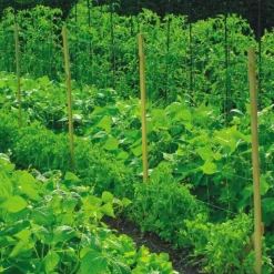 Discount NORTENE Filet à ramer coloris vert 2x5 m