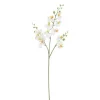 Sale EDELMAN Fleur artificielle Phalaénopsis blanc - 75 cm