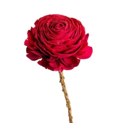 Discount NATURALYS Fleur en bois de Sola et coco forme Gardénia - Ø 8 x H 51 cm