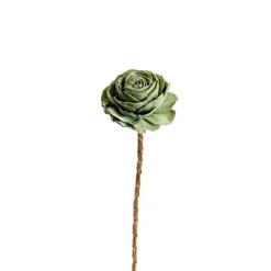 Discount NATURALYS Fleur en bois de Sola et coco forme Gardénia - Ø 8 x H 51 cm