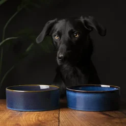 SCRUFFS Gamelle pour chien en grès coloris bleu nuit Reactive Glaze - 19 x 19 x 8 cm