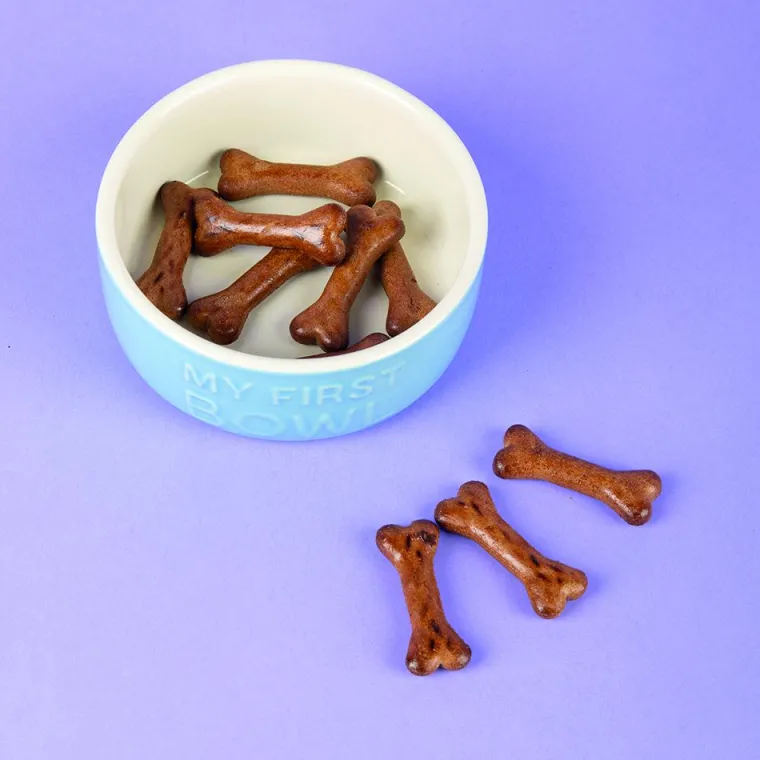 Sale SCRUFFS Gamelle pour chiot, chaton, lapin et cochon d'Inde coloris bleu en grès ma première gamelle – 13 x 13 x 5 cm