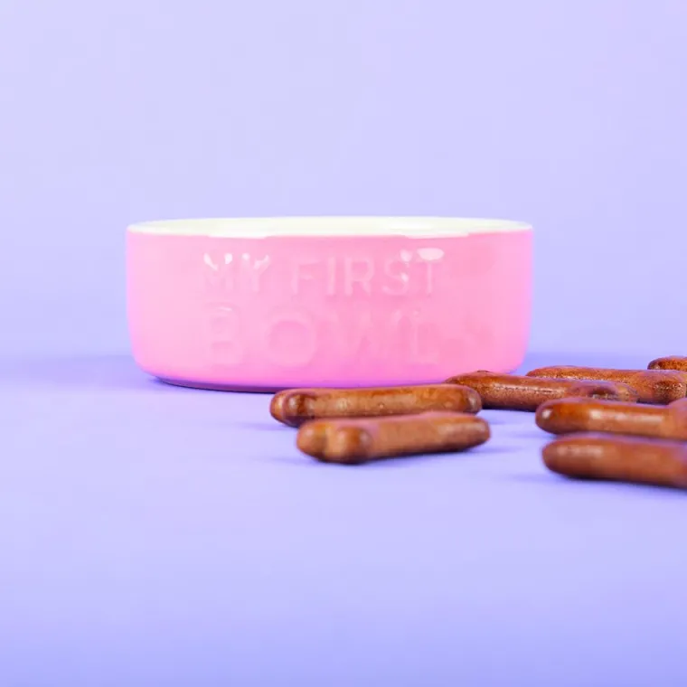 Discount SCRUFFS Gamelle pour chiot, chaton, lapin et cochon d'Inde coloris rose en grès ma première gamelle – 13 x 13 x 5 cm