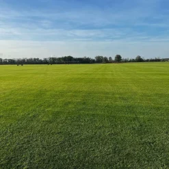 Discount LES GAZONS DE LA HARDT Gazon naturel résistant à la sécheresse en rouleaux - prix au m² pour une surface achetée totale de 151 à 300 m²
