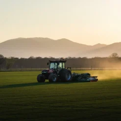 Discount LES GAZONS DE LA HARDT Gazon naturel résistant à la sécheresse en rouleaux - prix au m² pour une surface achetée totale de 151 à 300 m²