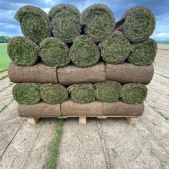 Discount LES GAZONS DE LA HARDT Gazon naturel résistant à la sécheresse en rouleaux - prix au m² pour une surface achetée totale de 151 à 300 m²