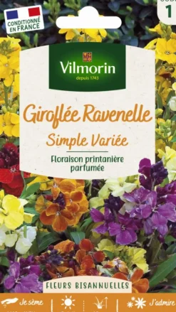 Hot VILMORIN Giroflée Ravenelle Simple Variée - graines à semer