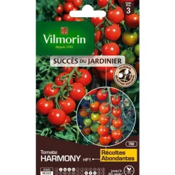 Hot VILMORIN Graine de tomate harmony HF1 - graines à semer