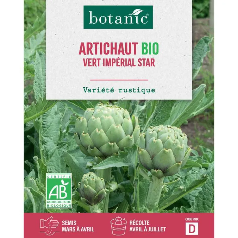 Discount BOTANIC® Graines d'Artichaut vert impérial star bio - graines à semer
