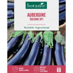 Discount BOTANIC® Graines d’Aubergine Sultane hybride F1 - graines à semer