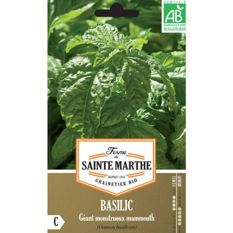 Clearance FERME DE SAINTE MARTHE Graines de basilic géant mammouth bio - graines à semer