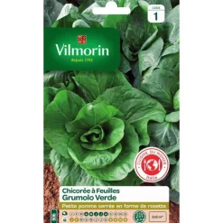 Outlet VILMORIN Graines de chicorée à feuilles Grumolo verde - graines à semer