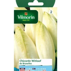 Sale VILMORIN Graines de chicorée de Bruxelles - graines à semer