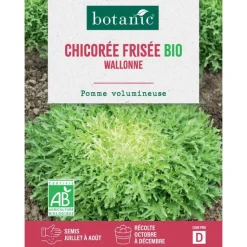 Best BOTANIC® Graines de chicorée frisée Walonne bio - graines à semer