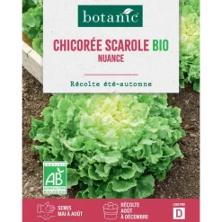 Sale BOTANIC® Graines de Chicorée scarole nuance bio - graines à semer