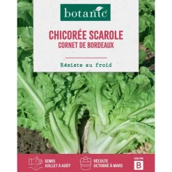 Online BOTANIC® Graines de chicorée scarole cornet de Bordeaux - graines à semer