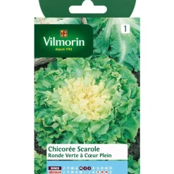 Discount VILMORIN Graines de chicorée scarole ronde verte - graines à semer
