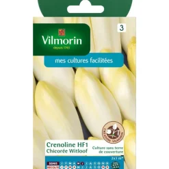 Discount VILMORIN Graines de chicorée witloof HF1 - graines à semer