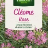 Clearance VILMORIN Graines de Cléome rose - graines à semer