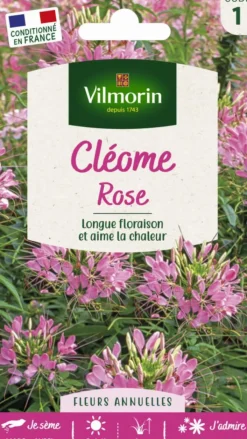 Clearance VILMORIN Graines de Cléome rose - graines à semer
