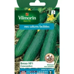 Outlet VILMORIN Graines de Concombre Bredo HF1 - graines à semer
