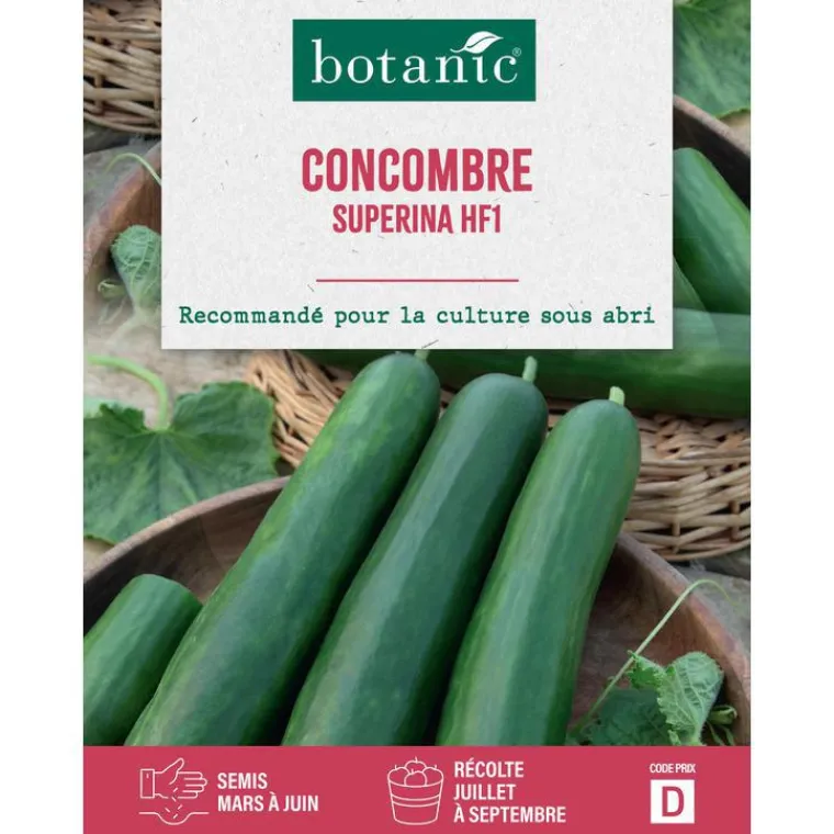 Clearance BOTANIC® Graines de concombre superina HF1 - graines à semer