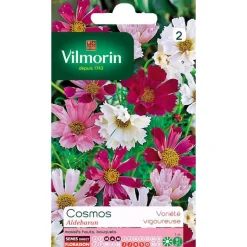 VILMORIN Graines de Cosmos Aldebaran varié - graines à semer