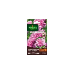 New VILMORIN Graines de Cosmos double click rose bonbon graines d’exception - graines à semer