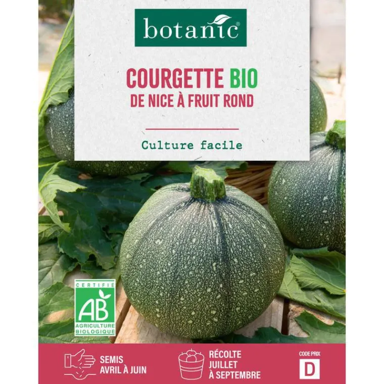 New BOTANIC® Graines de courgette de Nice à fruits ronds bio - graines à semer
