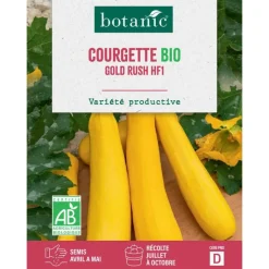 Hot BOTANIC® Graines de courgette gold rush HF1 bio - graines à semer