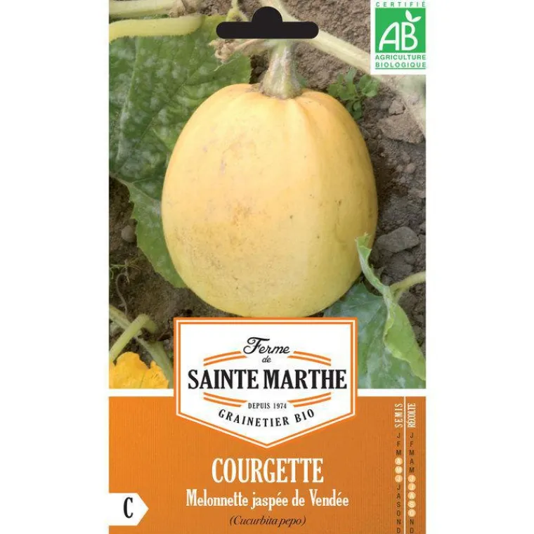 Online FERME DE SAINTE MARTHE Graines de courgette melonnette jaspée de vendée bio - graines à semer
