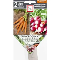 Hot ERNEST TURC Graines de Duo croquant carotteadis bio - graines à semer