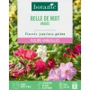 Discount BOTANIC® Graines de fleurs Belle de nuit variée