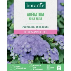 BOTANIC® Graines de fleurs d'Ageratum boule bleue