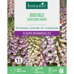 Best BOTANIC® Graines de fleurs de Digitale excelsior variée