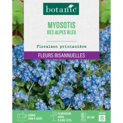 Discount BOTANIC® Graines de fleurs de Myosotis des Alpes bleu