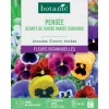 Online BOTANIC® Graines de fleurs de Pensée géante de Suisse variée surchoix
