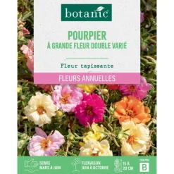Online BOTANIC® Graines de fleurs de Pourpier à grande fleur double varié